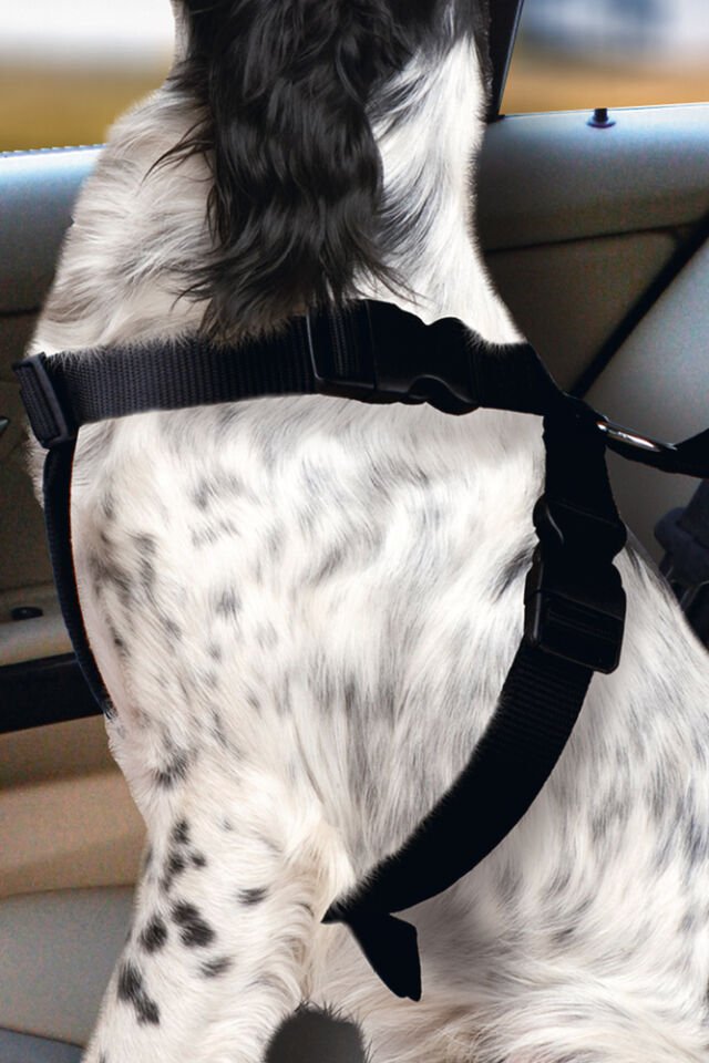 Karlıe Köpek Araç İçi Göğüs Tasması Siyah (68-86)