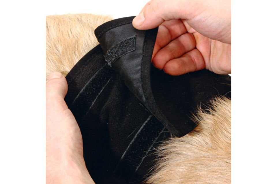 Karlıe İnkontinans Bandı (Köpek Alt Bezi)xl (90x30)