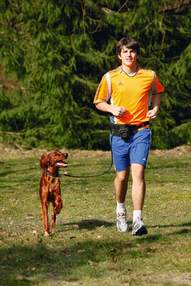 Karlıe Eller Serbest Köpek Gezdirme Tasması Siyah