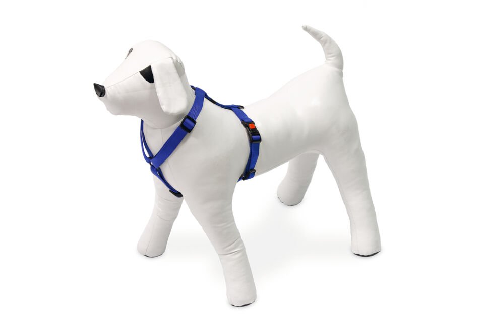 Karlıe Köpek Göğüs Tasması S Mavi 35-50x1,5