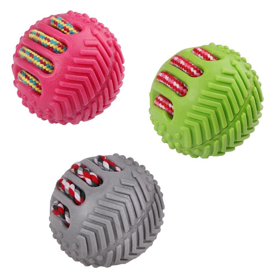 Eastland İpli Plastik Top Çap 8,5 Cm Köpek Oyuncağı