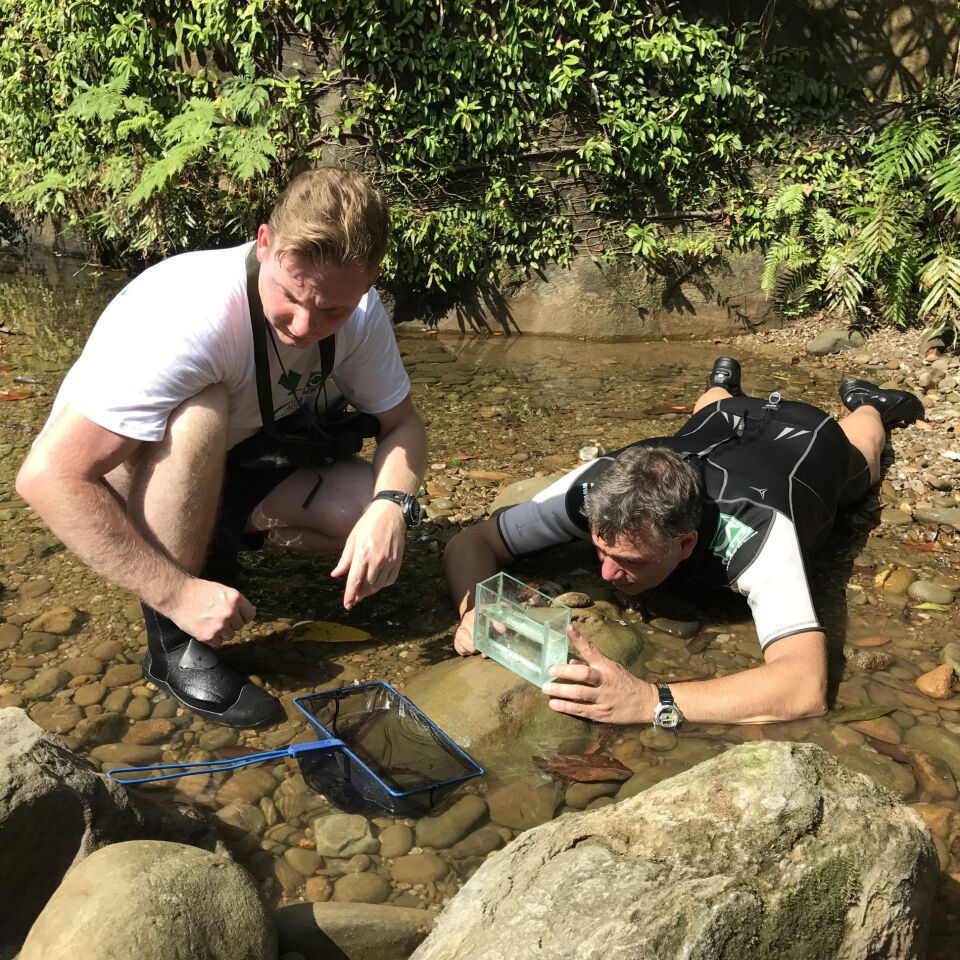 Jbl Premium Kepçe 25 Cm