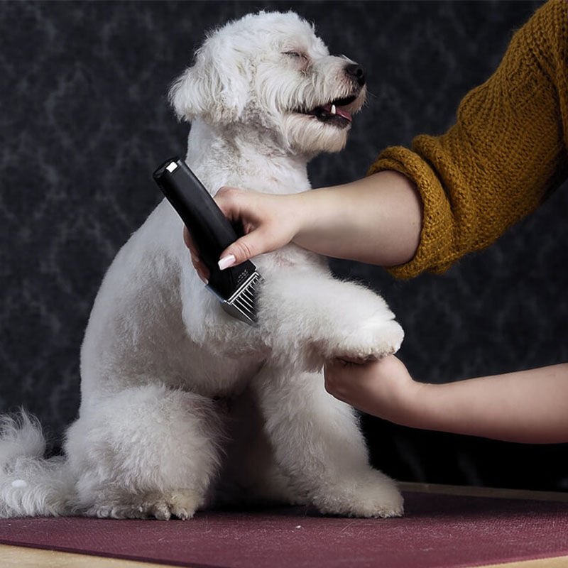 Wahl Arko Pro Makine