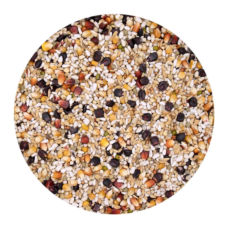 Versele Laga Plus Ic Gerry Black Label Güvercin Yemi 20kg