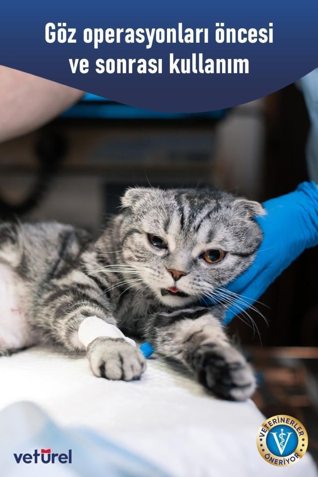 Veturel Kedi ve Köpekler için Göz Bakım Solüsyonu 100ml