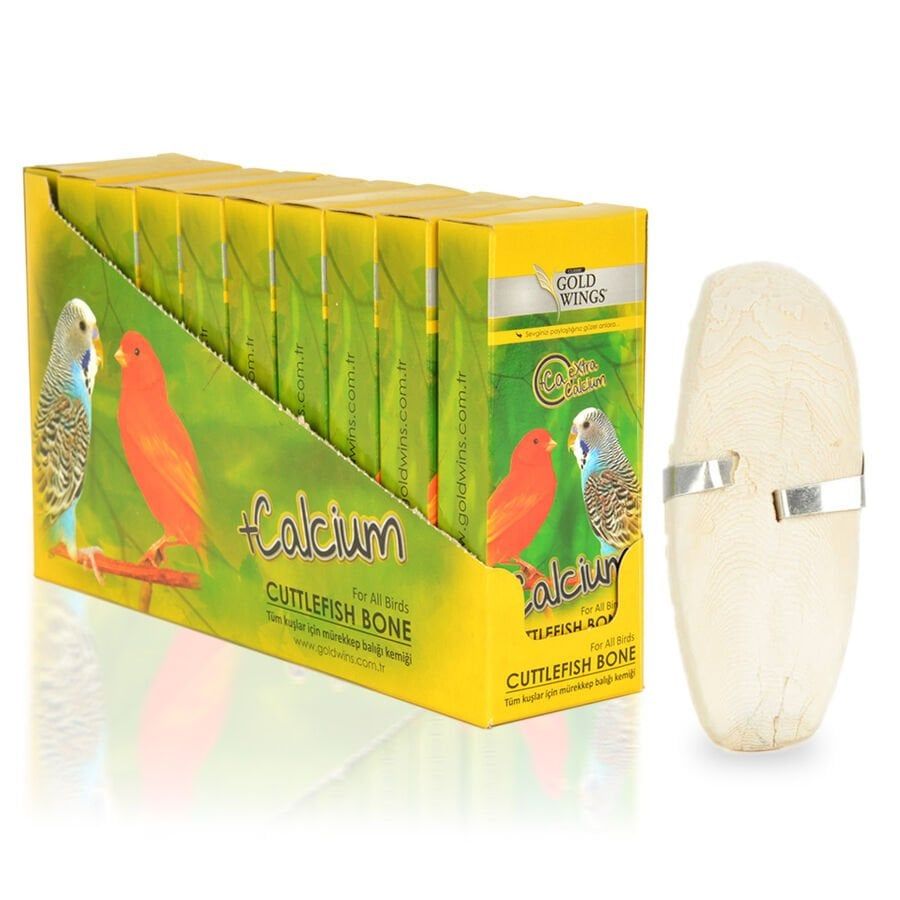 Gold Wings Kutu Mürekkep Balığı Kemiği (Kalamar)