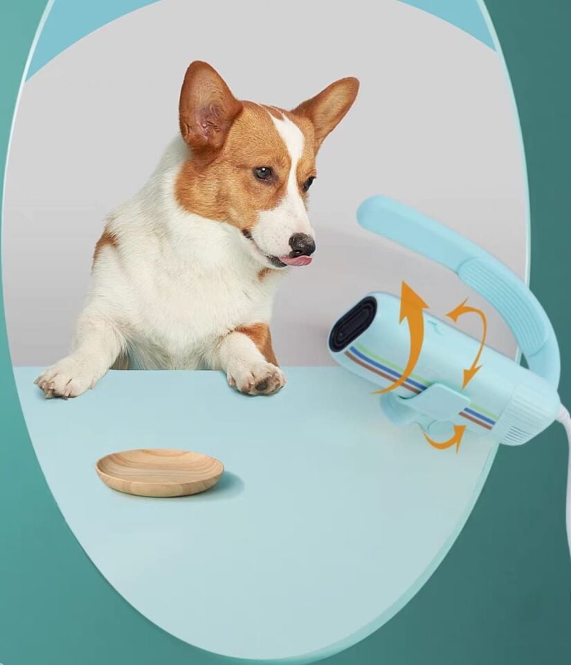 Boyunluklu Fön Makinesi