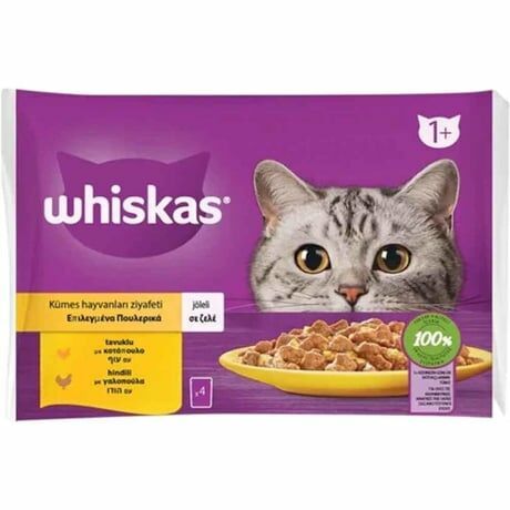 Whiskas Pouch Jöle İçinde Tavuklu ve Hindili Yetişkin Kedi Konservesi 85gr (4'lü)