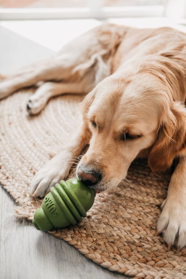 Beeztees Sumo Dayanıklı Dental Oyuncak M Yeşil Köpek Oyuncağı