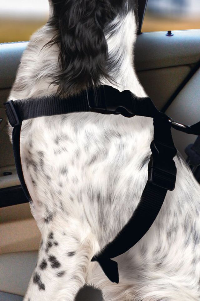 Karlıe Köpek Araç İçi Göğüs Tasması Siyah (68-86)