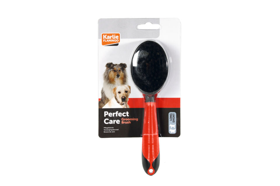 Karlıe Köpek Fırçası