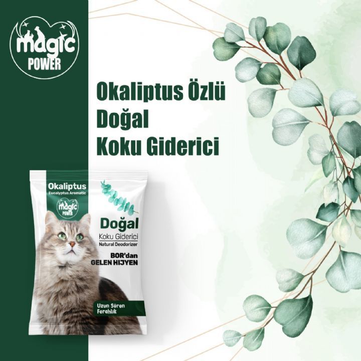Magic Power Koku Giderici Okaliptus