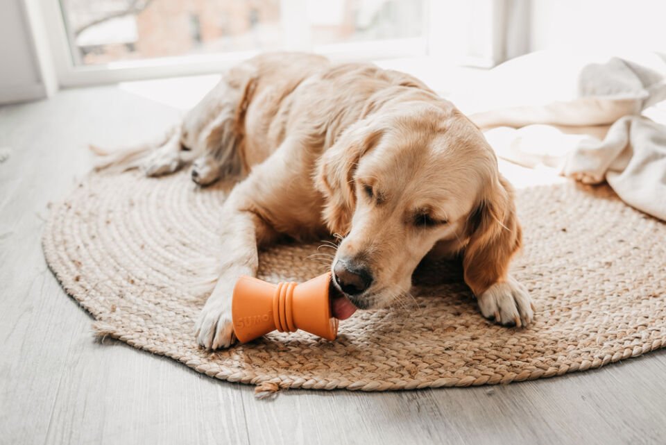 Beeztees Sumo Makara Şeklinde Dental Oyuncak 10x7 Köpek Oyuncağı