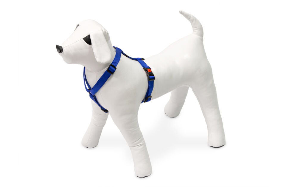 Karlıe Köpek Göğüs Tasması L Mavi 65-100x2,5