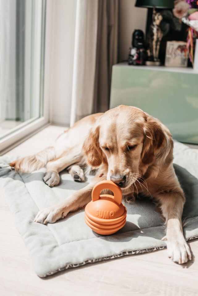 Beeztees Sumo Kettlebell (girya) Şeklinde Dental Köpek Oyuncağı