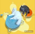 Oyuncaklı Kedi Tırmalama Paspası