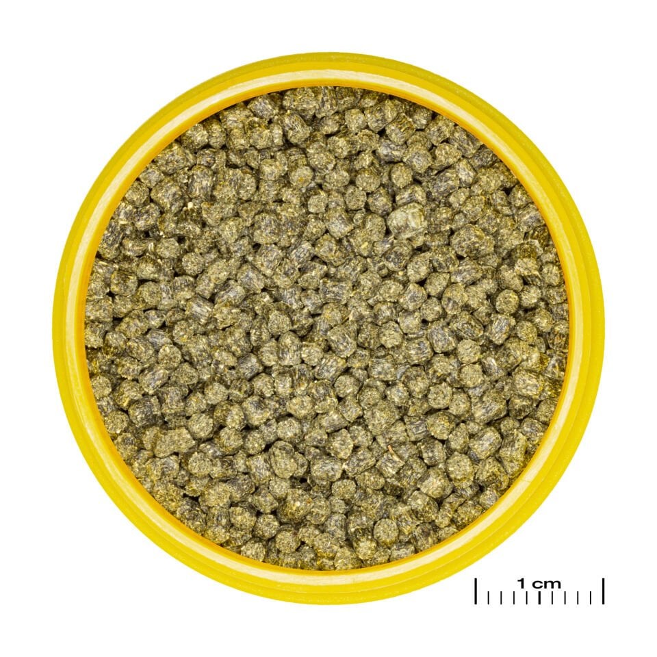 Jbl Pronovo Shrımps Grano S 100ml