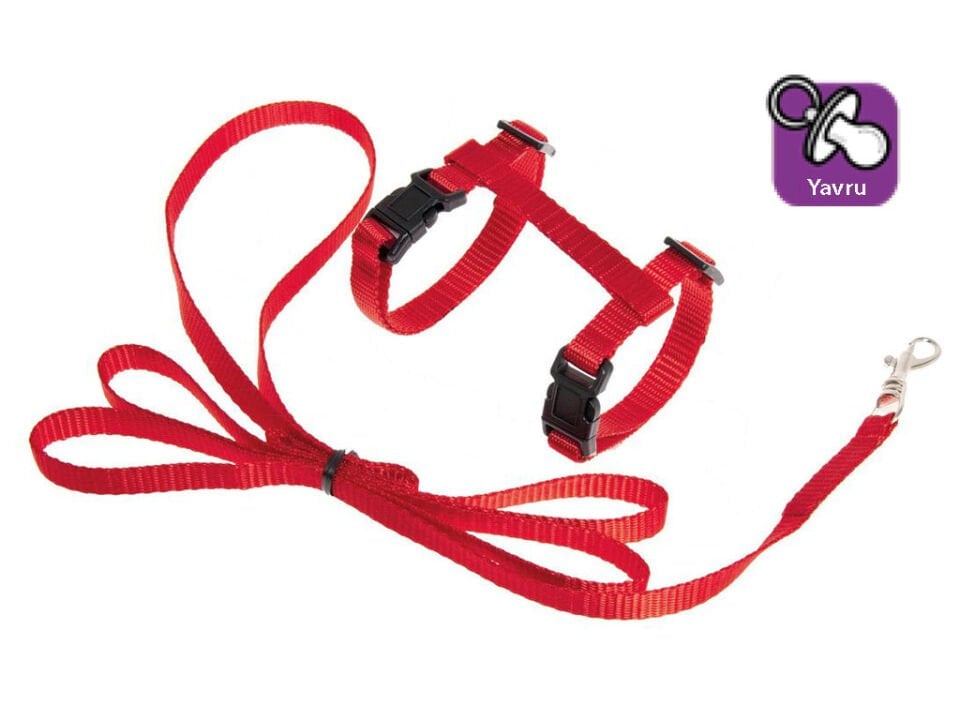 Karlıe Tasma+uzatma 120cm Kırmızı