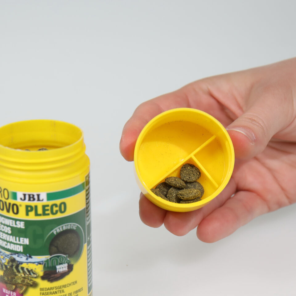 Jbl Pronovo Pleco Wafer M 100ml