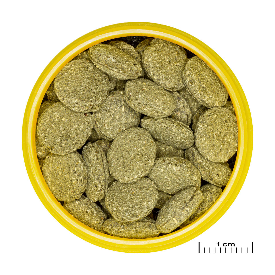 Jbl Pronovo Pleco Wafer M 100ml