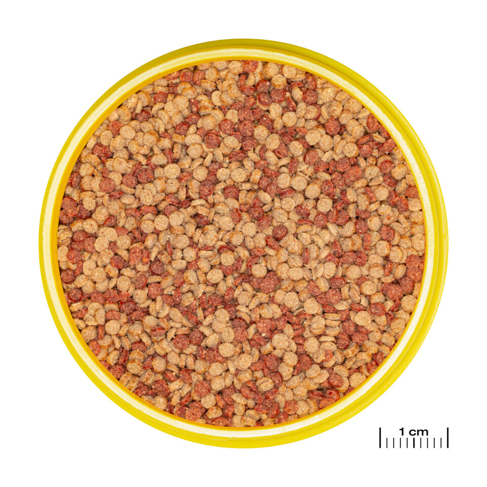 Jbl Pronovo Color Grano M 250ml