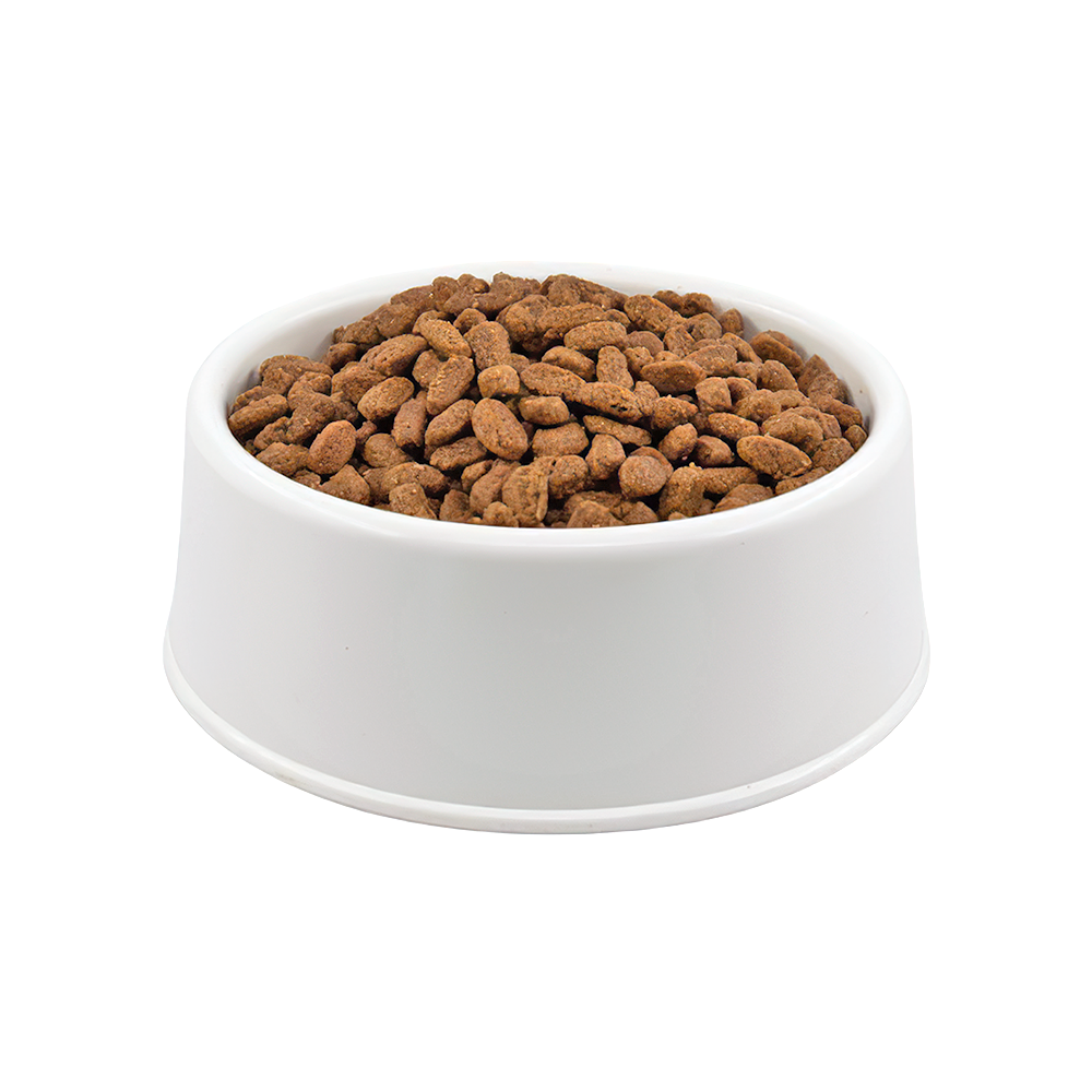 Pro Plan Sensitive Somonlu Yavru Açık Köpek Maması 1 Kg
