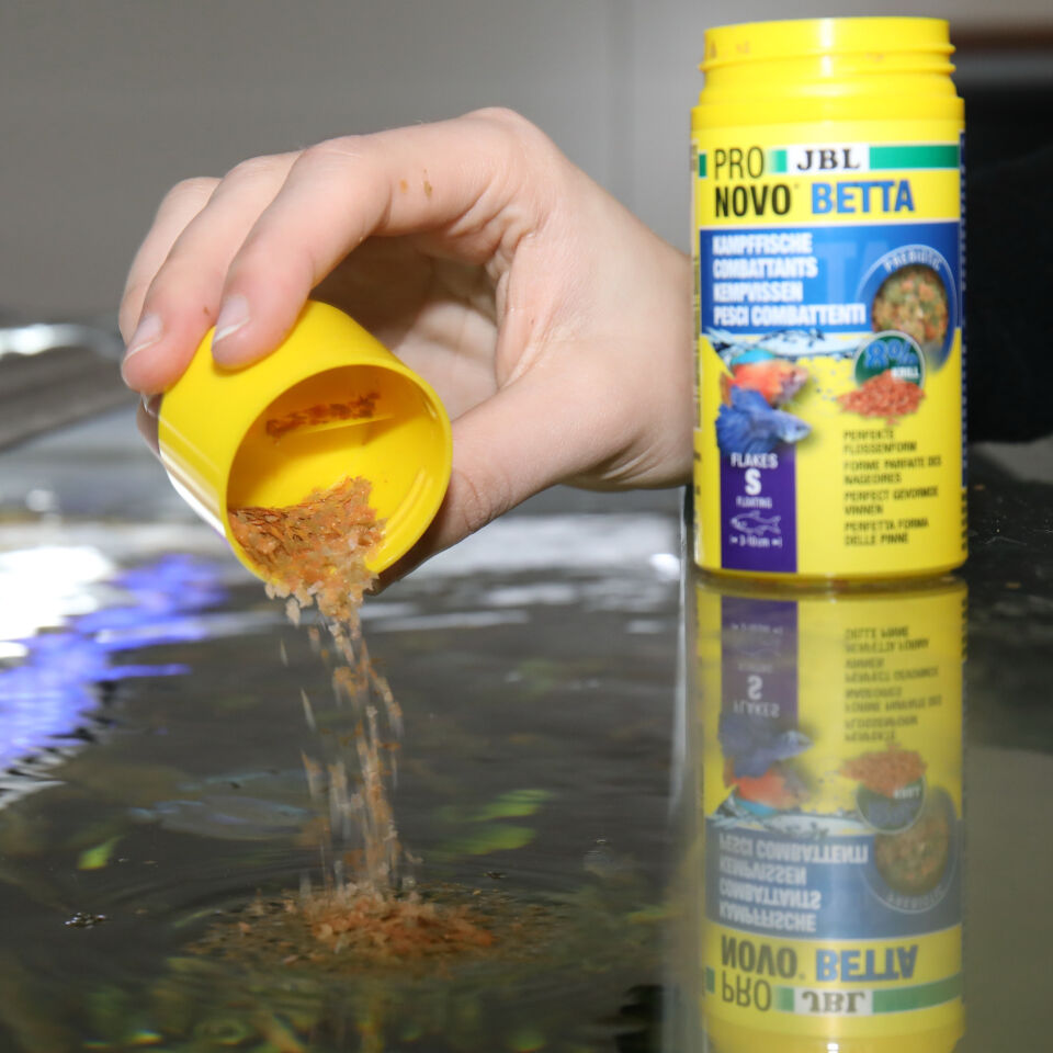 Jbl Pronovo Betta Flakes S 20ml