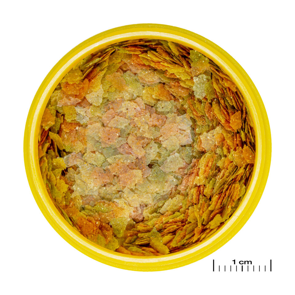 Jbl Pronovo Betta Flakes S 20ml