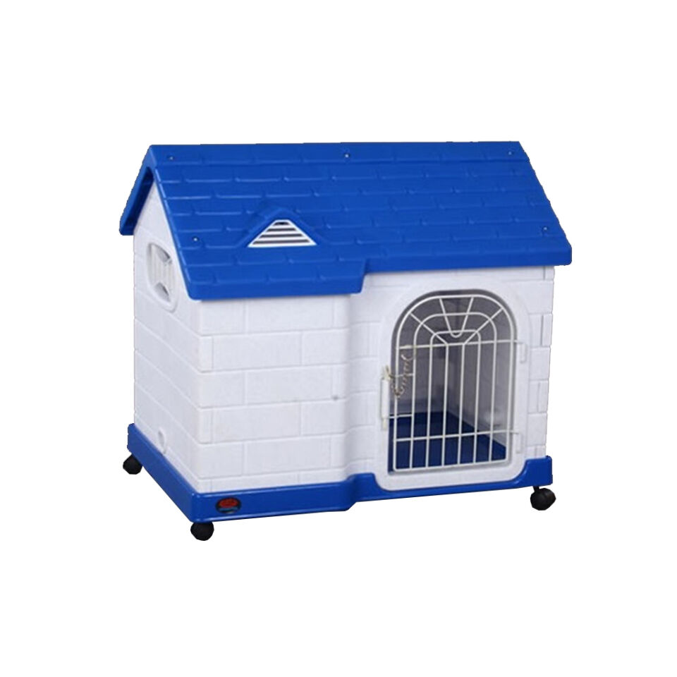 Dayang Kedi-köpek Kafes Mavi
