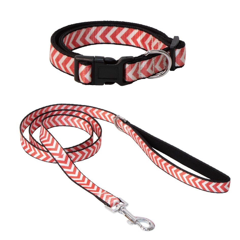 Eastland Köpek Boyun Tasması 20mm 30-50 Cm + Uzatma 120cm Balık Desenli