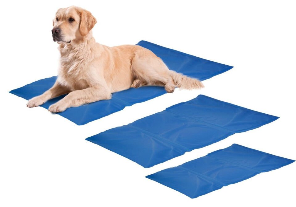 Karlie Soğutucu Mat 100*60cm Mavi