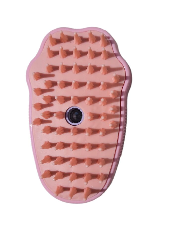 Eastland Buharlı Kedi Taragı