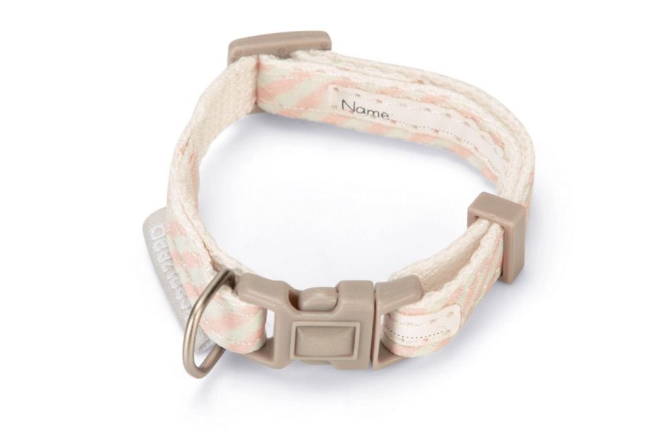 Beeztees Yavru Kedi Tasma 16-23cm*10mm Pembe