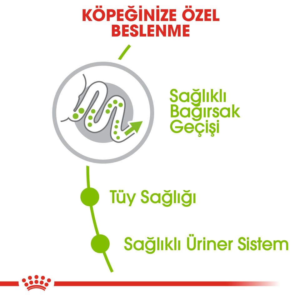 Royal Canin X-Small Küçük Irk Yetişkin Köpek Maması 1,5kg