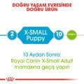 Royal Canin X-Small Küçük Irk Yavru Köpek Maması 1,5kg