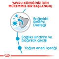 Royal Canin X-Small Küçük Irk Yavru Köpek Maması 1,5kg