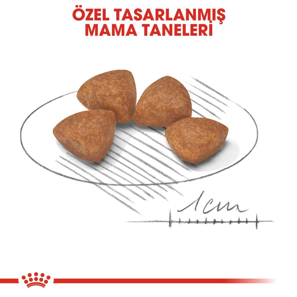 Royal Canin X-Small Küçük Irk Yavru Köpek Maması 1,5kg