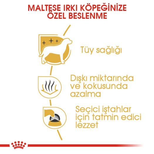 Royal Canin Maltese Terrier Yetişkin Köpek Maması 1,5kg