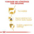 Royal Canin Yorkshire Terrier Yetişkin Köpek Maması 1,5kg