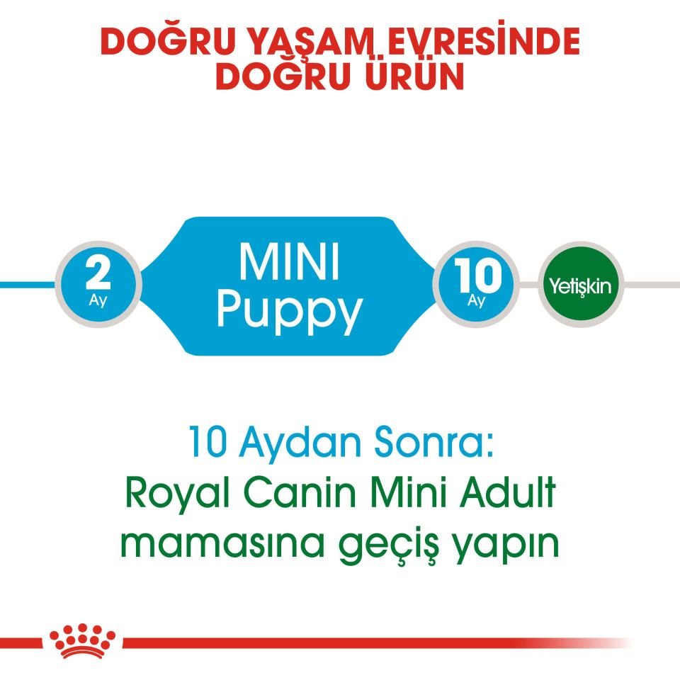 Royal Canin Mini Junior Küçük Irk Yavru Köpek Maması 2kg