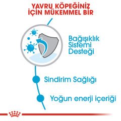 Royal Canin Mini Junior Küçük Irk Yavru Köpek Maması 2kg