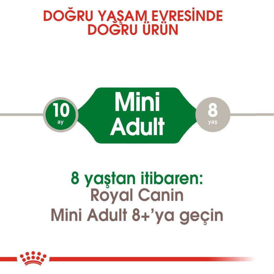 Royal Canin Mini Küçük Irk Yetişkin Köpek Maması 2kg