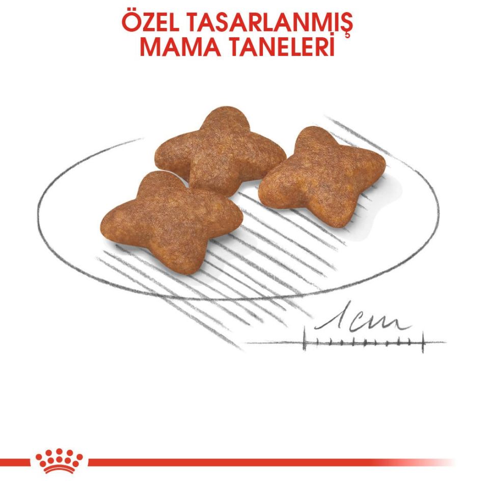 Royal Canin Mini Küçük Irk Yetişkin Köpek Maması 2kg