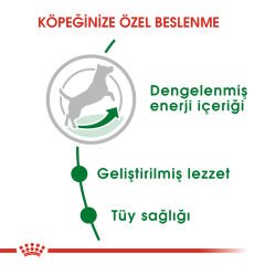Royal Canin Mini Küçük Irk Yetişkin Köpek Maması 2kg