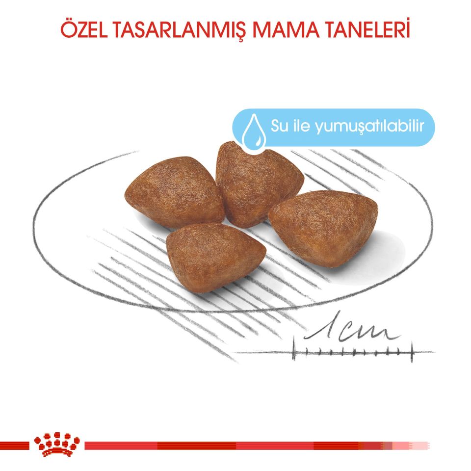 Royal Canin Mini Starter Mother&Babydog Küçük Irk Yavru Köpek Maması 4kg