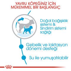 Royal Canin Mini Starter Mother&Babydog Küçük Irk Yavru Köpek Maması 4kg