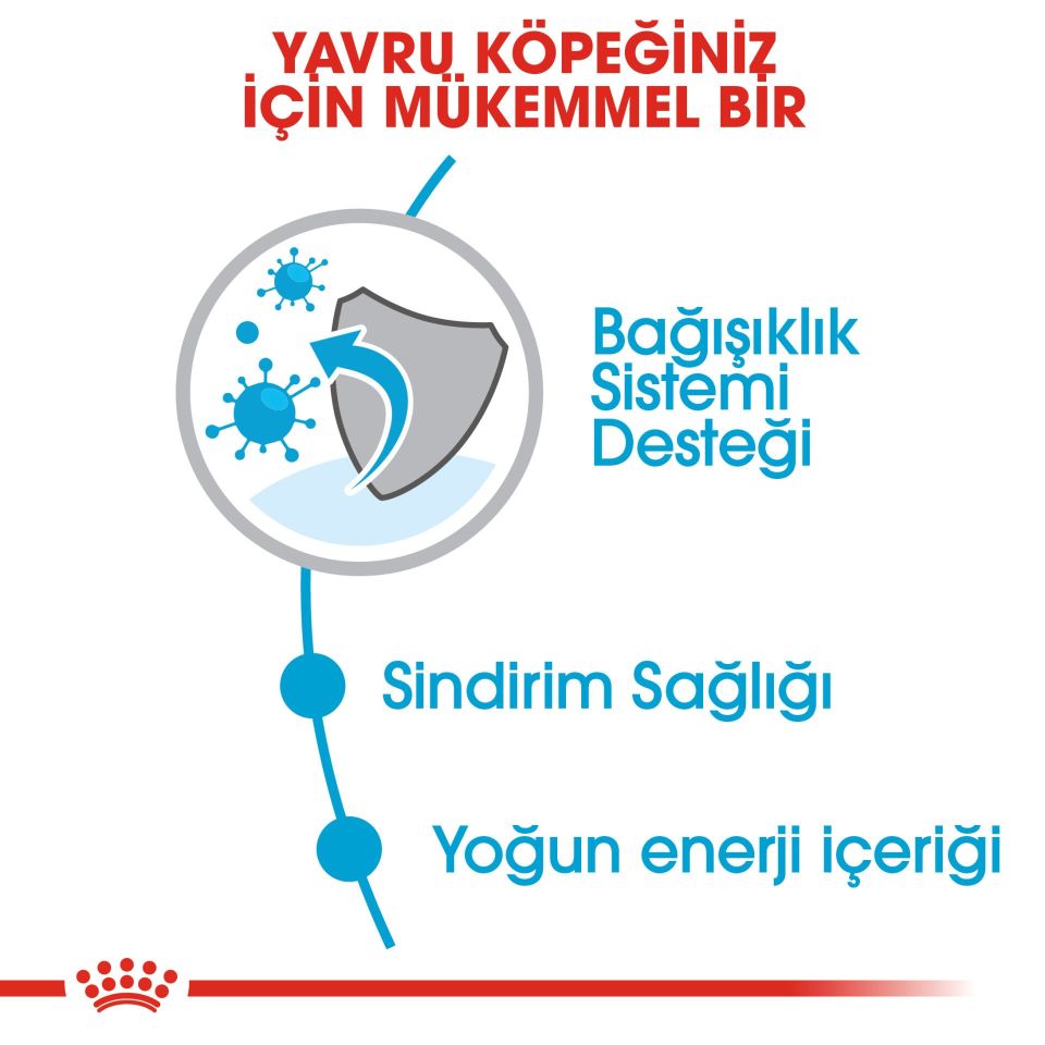 Royal Canin Mini Junior Küçük Irk Yavru Köpek Maması 4kg