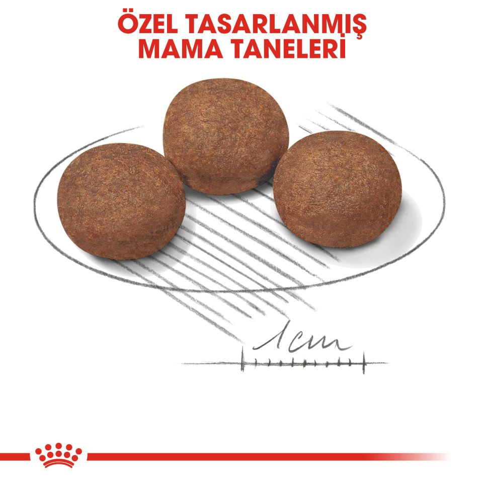 Royal Canin Medium Junior Orta Irk Yavru Köpek Maması 15kg