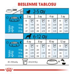 Royal Canin Medium Junior Orta Irk Yavru Köpek Maması 15kg