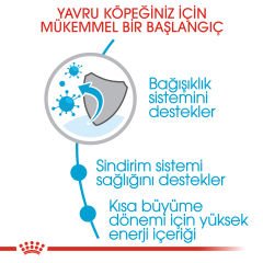 Royal Canin Medium Junior Orta Irk Yavru Köpek Maması 15kg
